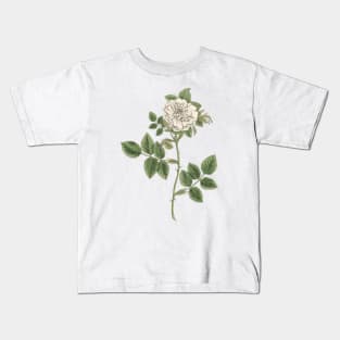 White Rose Flower Vintage Botanical Illustration Kids T-Shirt